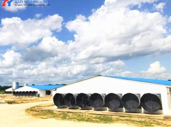 Complete Chicken House Farming Equipment for Breeder and Broiler with Steel Structure
