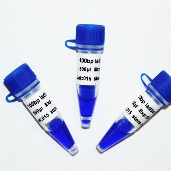 escada 100bp mais o marcador M1071 do ADN (50μg) /M1072 (50μg×5)