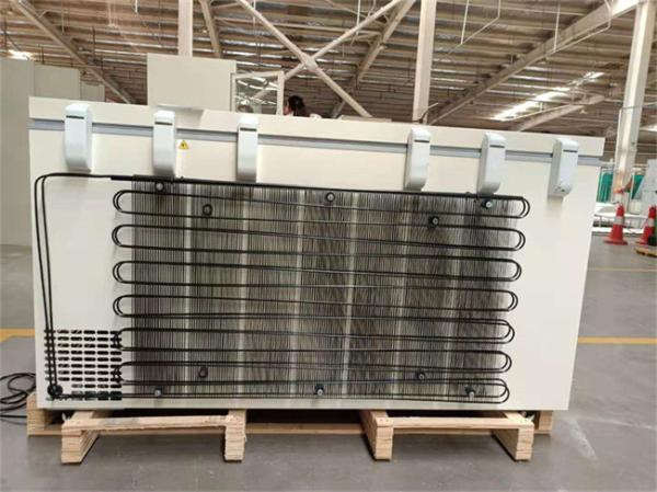 refrigerador biomedicável do congelador da caixa do hospital da grande capacidade 485L com a porta de formação de espuma para o armazenamento vacinal