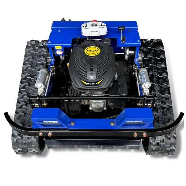 Low Price AWY550 Cutting Width 500mm Mini Lawn Mower with Professional Technical Support
