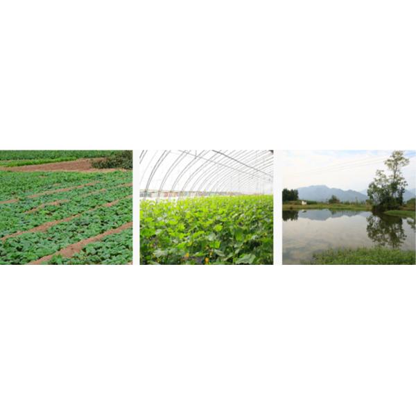 Непосредственное отношение 4-WD-Self стимулировало вращение цепи румпеля