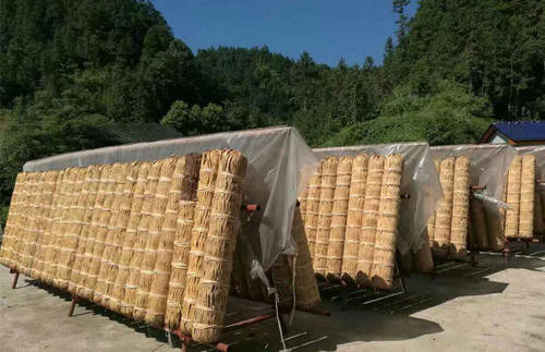 Premium Hunan Dark Tea / Anhua High Mountain Black Tea Multi Functional