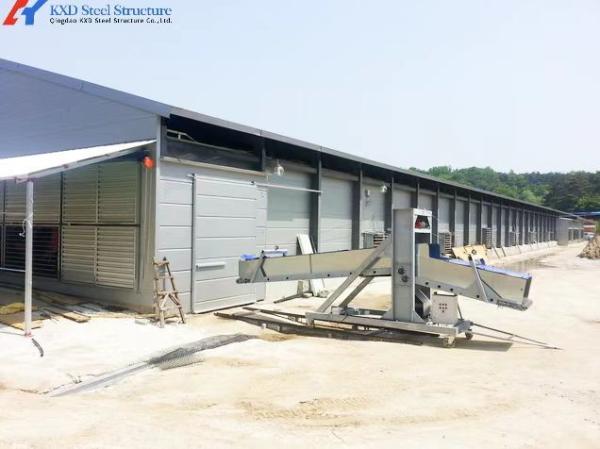 Galvanized Steel Poultry House with Automatic Feeding System for Chicken Farming