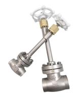 PN40 Stainless Steel 304 Socket Weld Globe Valve Low Temperature