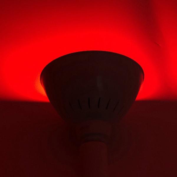 Single Color Warm White 2700K 0.7kg Swimming Pool Bulb