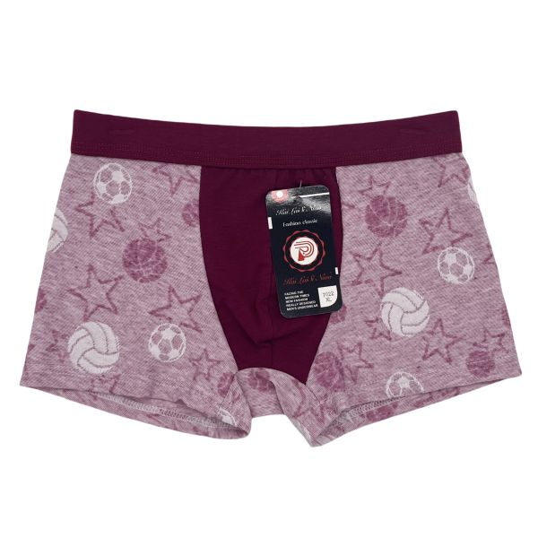 New Style Hot Selling High Quality Boys Boxer Underpants Comfortable Fashion Boxer Briefs at Wholesale Price