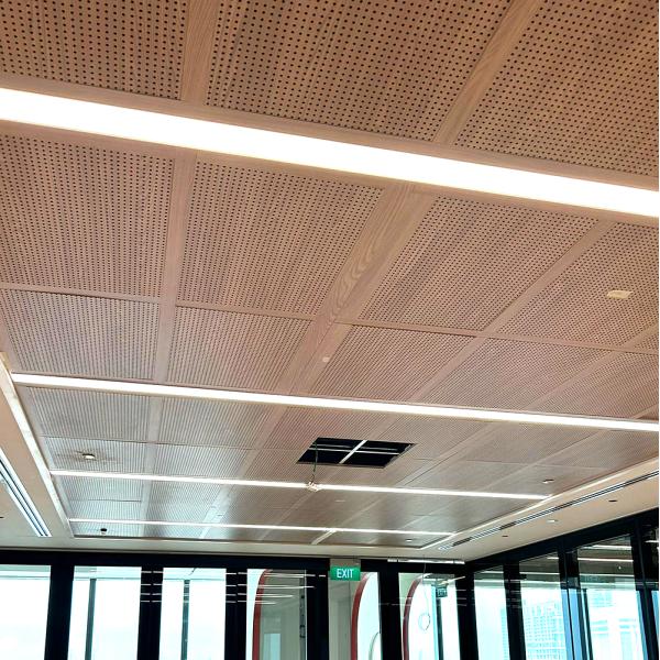 Office Sound Absorption Wall Panel 16/16/6mm Perforated Acoustic Board