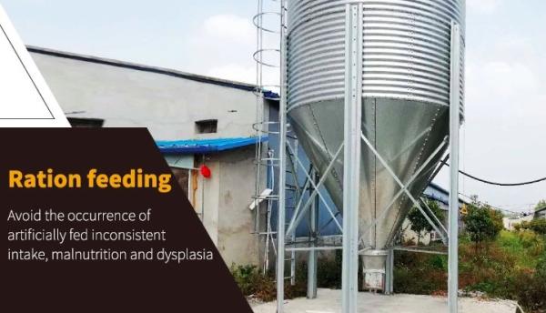 Small Grain Silo / Hopper Bottoms Galvanized 2 Ton Feed Bin Standard Size