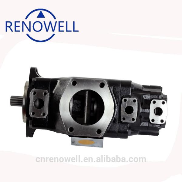 Triple Cartridges Black Hydraulic Cylinder Pump For Plastic Machinery