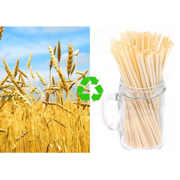 Say Goodbye to Plastic Straws and Hello to Wheat Drinking Straws Eco Friendly Option