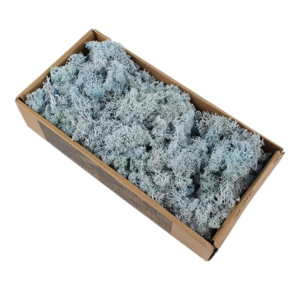 Stabilized Valentine Gift Preserved Natural Moss In Box