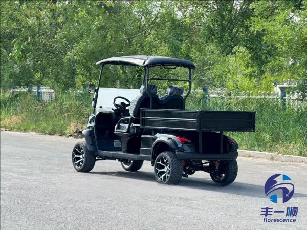 Electric 2 Seat Golf Cart with Cargo Box