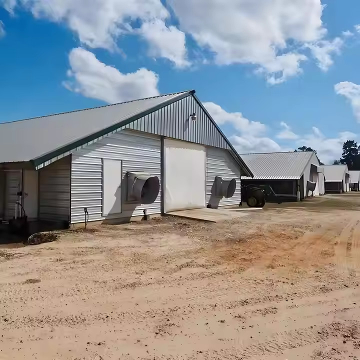 Q235B Q355B Grade Steel Structure Poultry House Pre engineered Steel Frame Shed