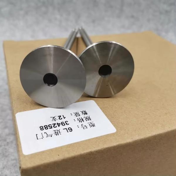 Replace/Repair Intake Valve for Cummins 6L ISC Diesel Engine Parts Komatsu PC300-8 3942588 3942589 6744-41-4040 Made