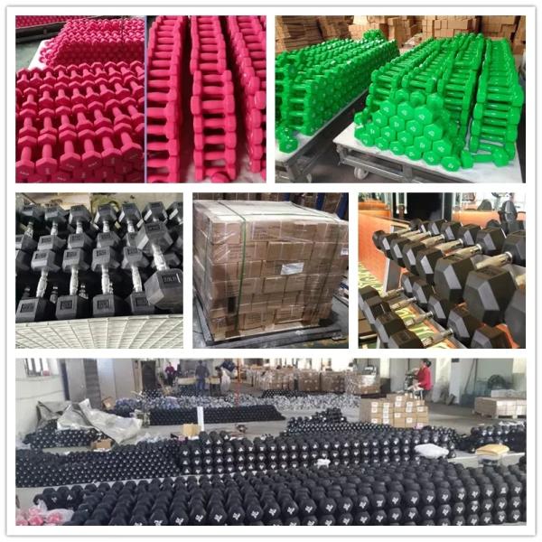 Eco Friendly Home Gym Fitness Dumbbells Round Rubber Coated Dumbbells 5kg 10kg