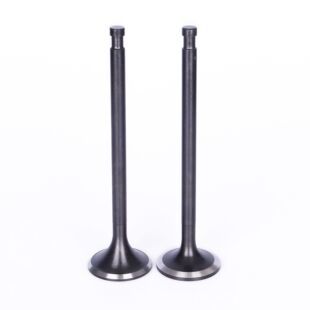 High-quality Intake Valve 04E 109 601 AB for Imported Volkswagen Passat