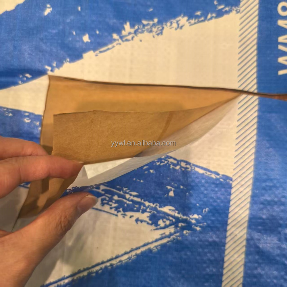 PP Woven Valve Bag with Inner Paper Liner for 20KG 25KG 40KG Cement Dry Mixtures Packaging