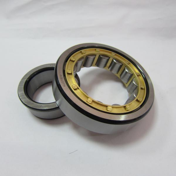 Cylindrical Stainless steel Roller Bearing For Gearbox Cage , NU226 ECM