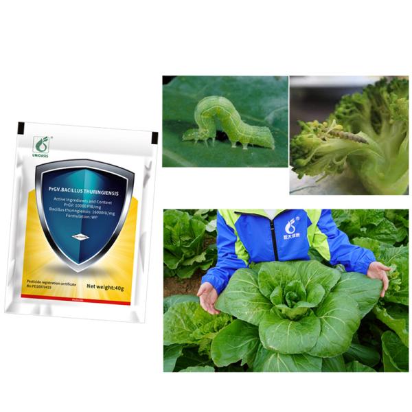 PrGV Bacillus Thuringiensis Природный спрей для жуков Органический инсектицид для баклажанов