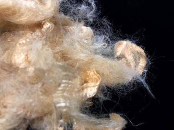 1.5D X 51mm Natural White Soybean Fiber For Textile Spinning / Filling