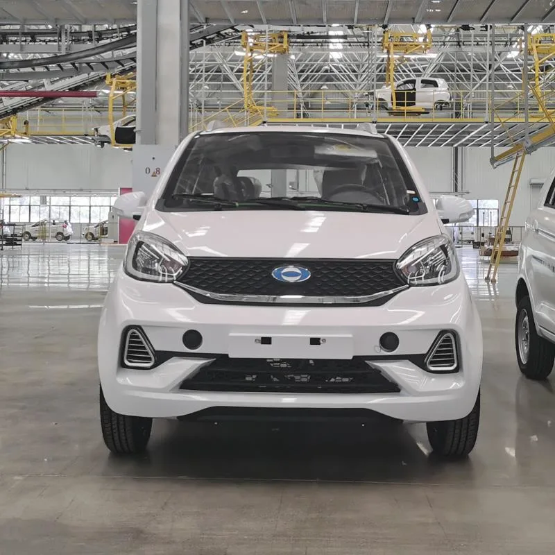 Hot sales model electric sedan car 5 door 4 Seats electric vehicles