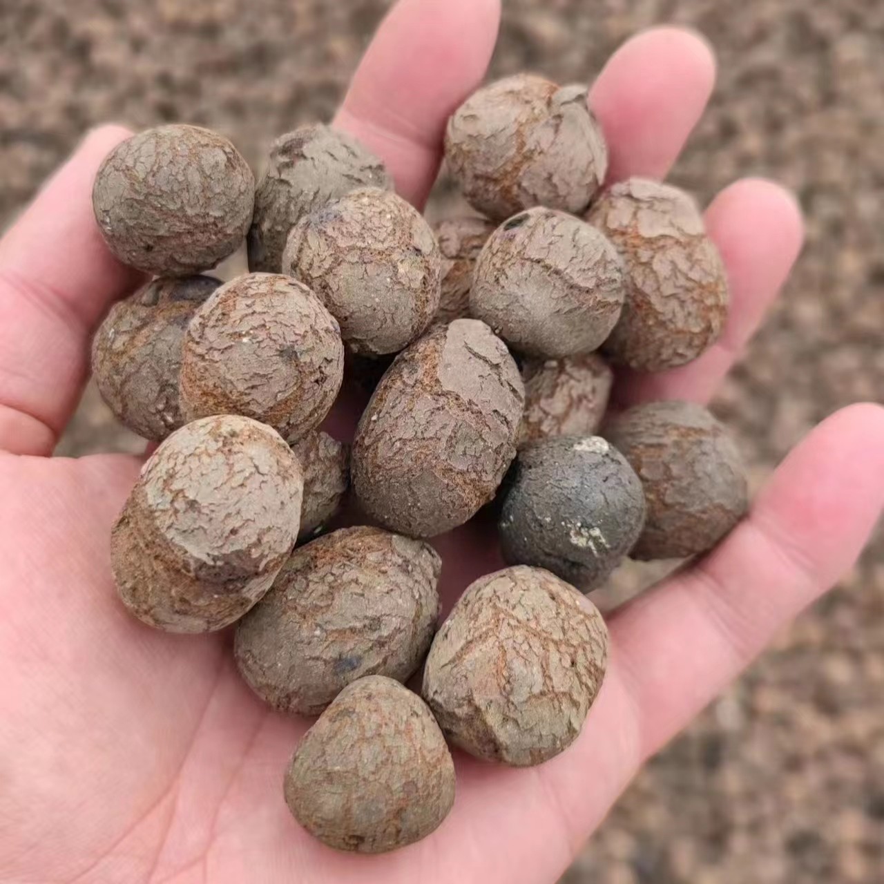 LECA for Gardening and Horticulture Bulk Density 250-450kg/M3 Hydroponics LECA Balls