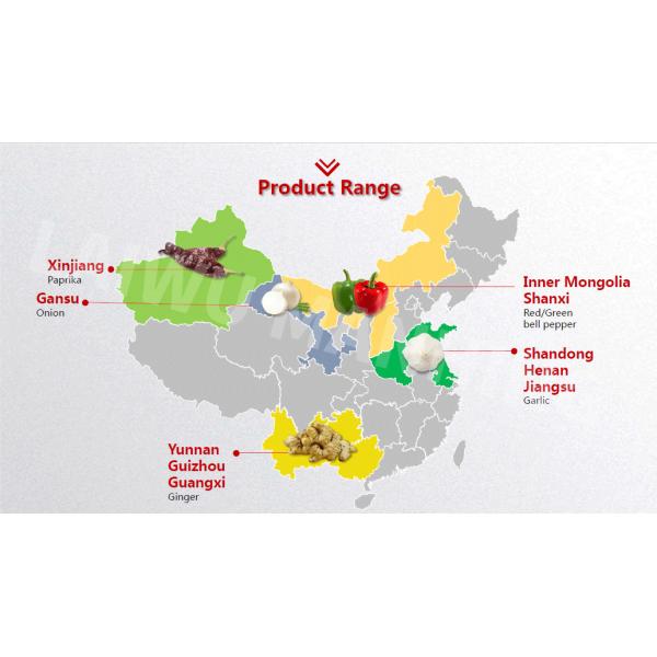 HALAL 80mesh 120mesh Dehydrated Garlic Powder In Low Bac