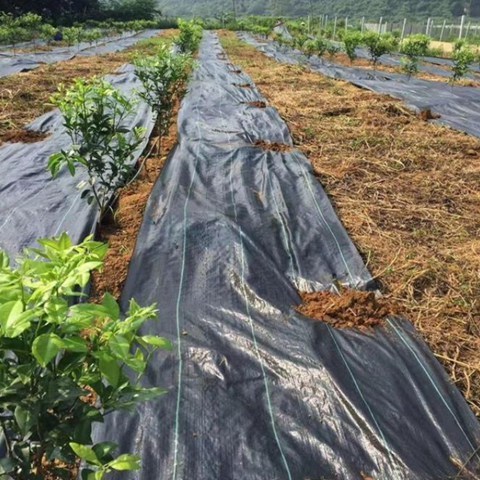 Pp Woven Ground Cover Membrane Anti Grass Weed Control Cloth