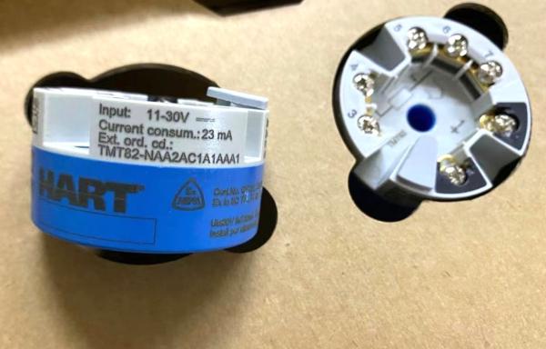 Endress+Hauser TMT82-C6D4101 | 2-Channel HART 7 Temperature Transmitter