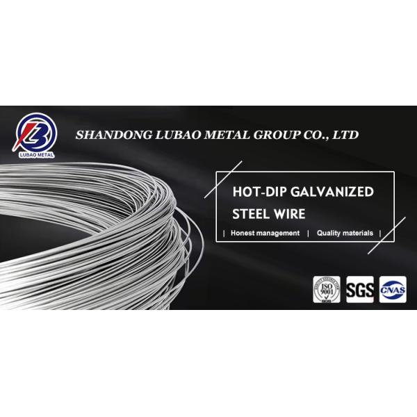 Electric Fence Wire 1.6mm Galvanized Iron Wire Steel Wire for Fencing Standard AiSi Round Wire Brush