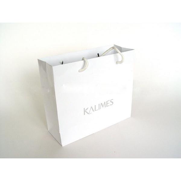 ISO Machinery Plain Recycling White Paper Carrier Bags for Shopping