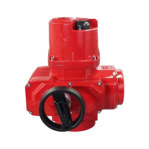 Electric Actuator