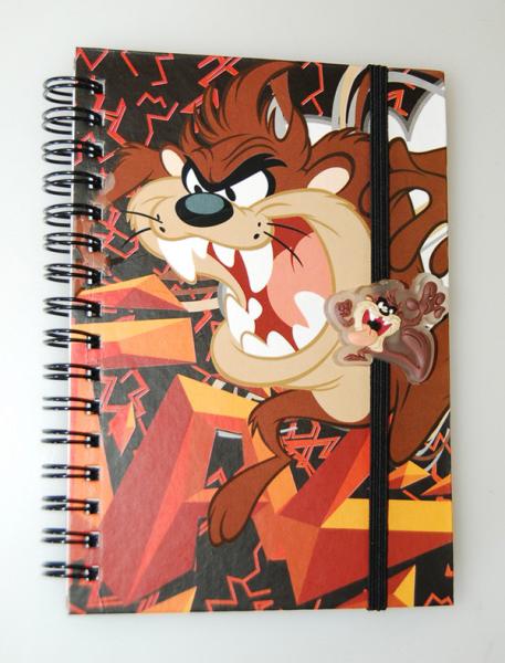 PLASTIC LENTICULAR custom A variety of 3D coil notebooks pp pet 3D student notebook