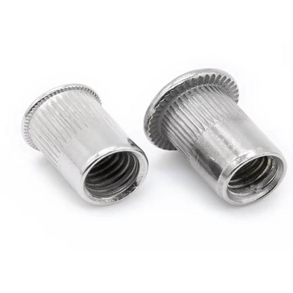 M8 M10 M12 Noix de rivette à tête plate SS304 à base de passivate