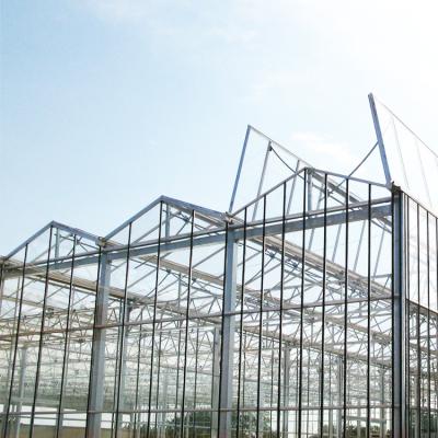 Galvanized Steel Frame Multi Span Venlo Glass Greenhouse Large Automatic
