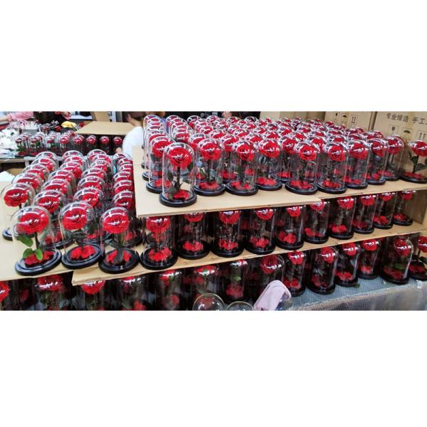 Wholesale Price Rose bear preserved roses in glass dome rose bear for lover