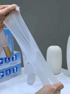 Powder Free Disposable Latex Gloves , Medical Exam Gloves Multi Purpose