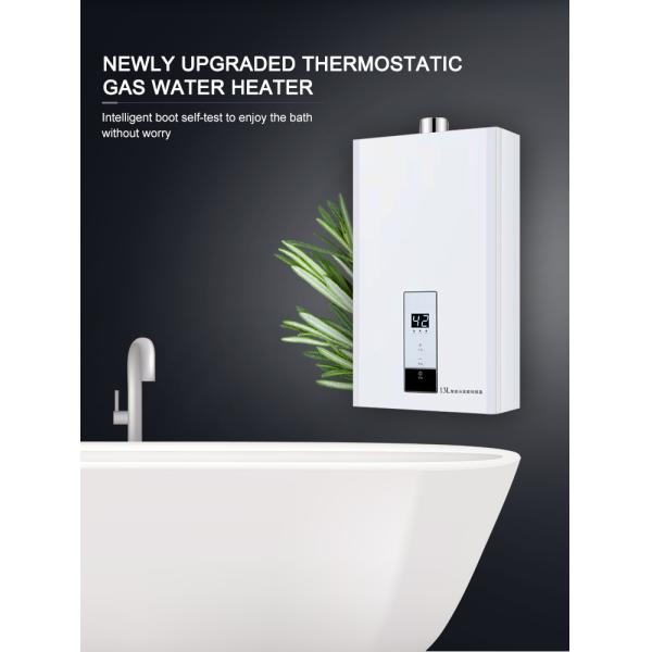 Natural LP Gas Tankless Water Heater Hot Water Boiler 16000W 10L-16L