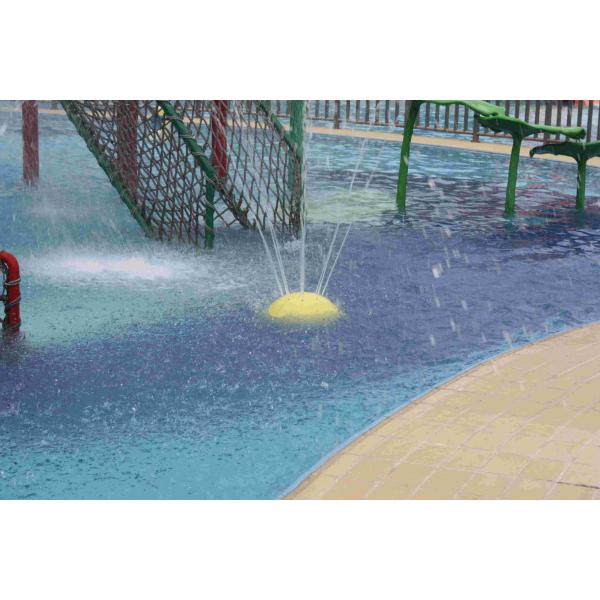 Customized Carp Carton Spray Park Equipment For Children / Kids Fun in Swimming Pool