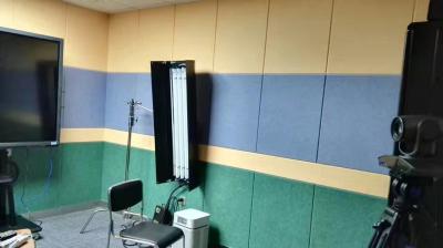 40% Low Melt Fiber Polyester Acoustic Wall Panels Fireproof Acoustic Sound Panels