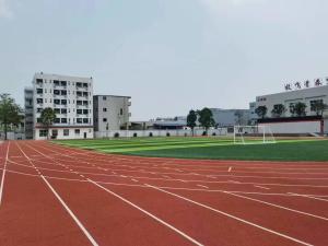 EPDM revestimento de piso desportivo / pintura antiderrapante silicone sintético
