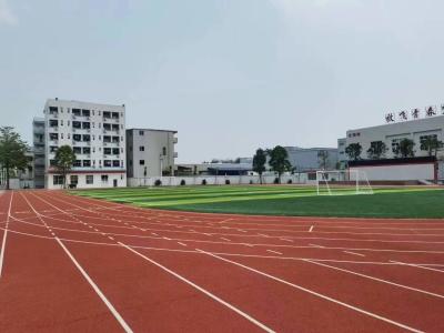 EPDM Sports Floor Coating / Paint Slipproof Synthetic Silicone PU IAAF
