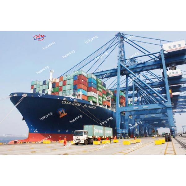 бумажная прессформа 153KW утилизации отходов машины подноса яйца 2500pcs/H