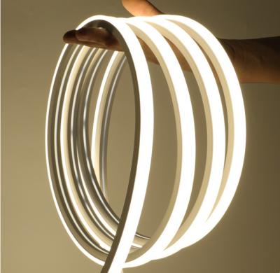 1010 da colagem impermeável do silicone de DC24V RGB luz de néon do diodo emissor de luz de Flex Strip Rope IP67