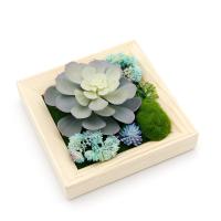 Cuadro de madera para plantas fotográficas