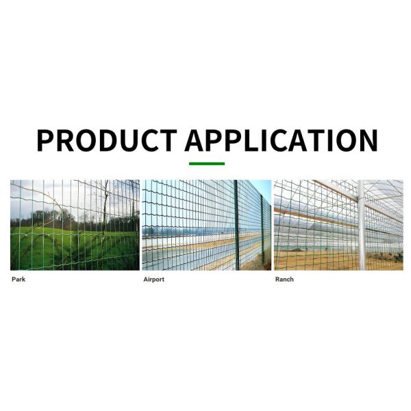 Holland Wire Mesh Euro Wire Welded Mesh Black Wire Welded PVC Coated