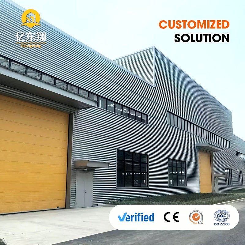 Quick Installation Steel Frame Building with Large Clear Span and Low Maintenance Cost