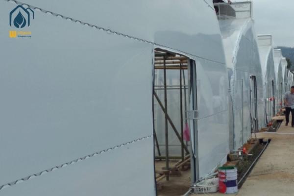 Túnel comercial Flor de vegetales de cultivo Invernadero Estructura de acero galvanizado en caliente