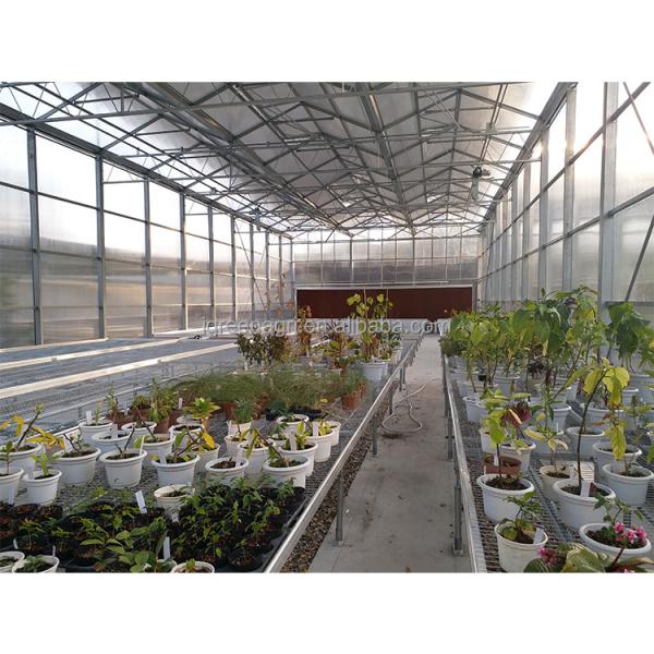 Customizable Commercial Polycarbonate Greenhouse High Shoulder For Agriculture
