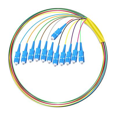HXCOWO 12 Core SC Bundle Tail Single Mode Telecom Grade Head And Tail Fiber Optic Pigtail
